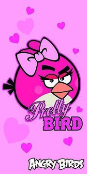 detska-osuska-angry-birds-pretty-bird